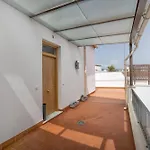 El Oasis De San Pedro